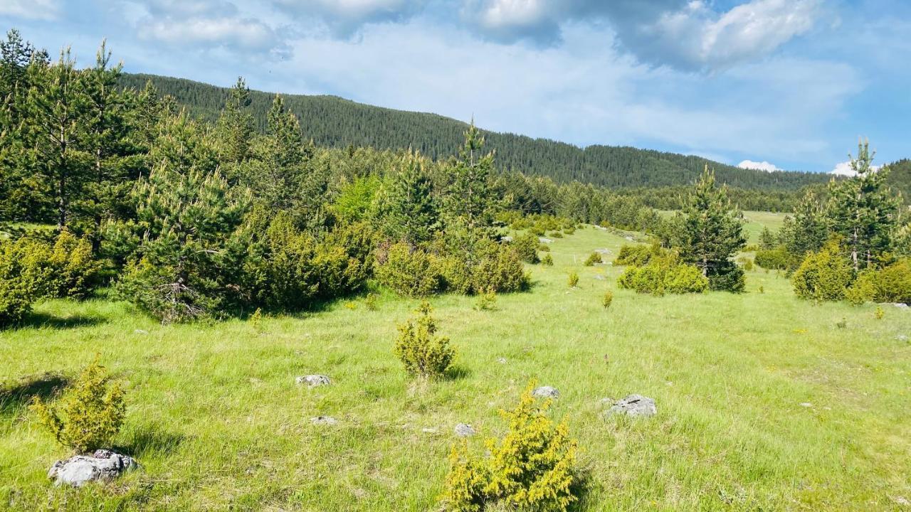 Eco Village Pavlovic Žabljak Exterior foto